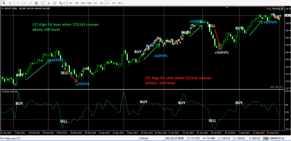CCI algo expert advisor